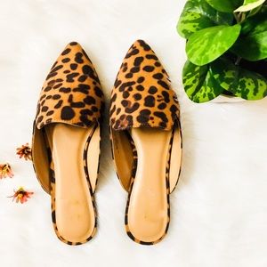 Shoes - 5⭐️LEOPARD MULES SLIP ON FLATS- Shoe Shoes - 5⭐️LEOPARD MULES SLIP ON FLATS- Shoe